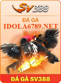 Đá gà SV388